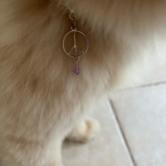 ☮️Silver peace pet charm - Picture 4 of 5